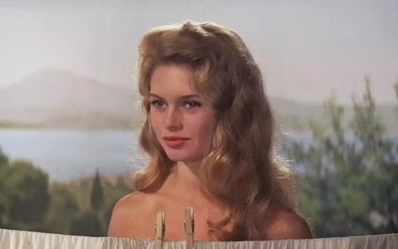 Brigitte Bardot tinha 91 anos | abc+