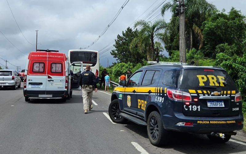 Acidente com ônibus deixou 12 feridos na BR-116 | abc+