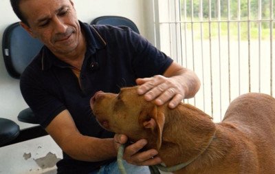 A cartinha de adoção deu certo para o cão Carlos, em Nova Santa Rita