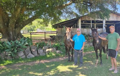 Sapucaia do Sul investe em aprimorar o seu turismo rural