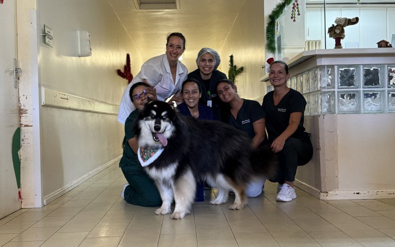 O cão Zeus com a equipe do Hospital de Gramado