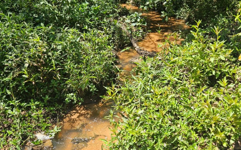 Turismo rural em Sapucaia do Sul: Nascente do Arroio José Joaquim no Sítio Sete Chaves