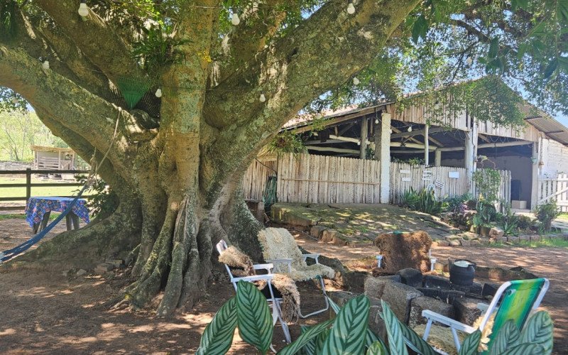 Turismo rural em Sapucaia do Sul: Área de sombra e acomodações no Sítio Sete Chaves 