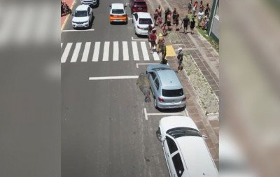 VÍDEO: Elefante-marinho é visto em avenida de Tramandaí e chama atenção de moradores e turistas