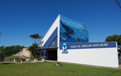 Quer praticar surf de graça? Confira 30 atividades gratuitas do Ceclimar neste verão no litoral norte do RS