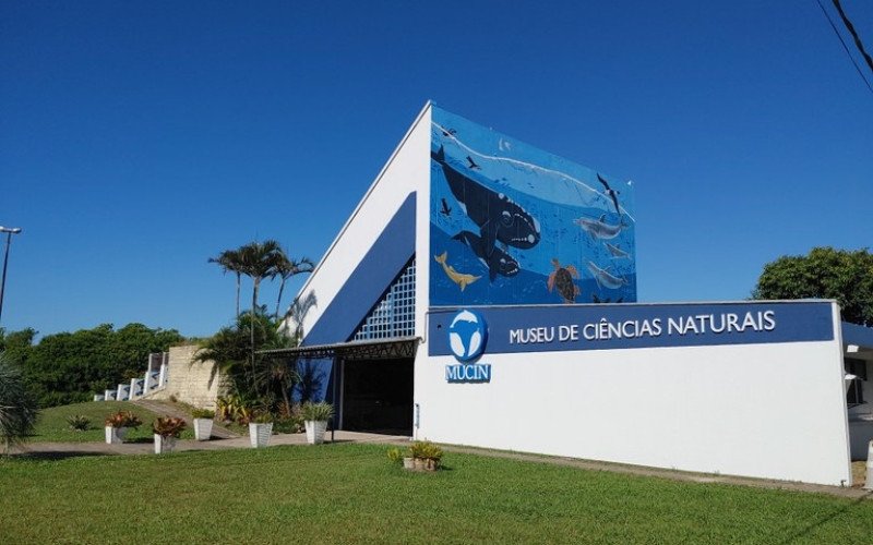 Atividades fazem parte da programação especial de férias do Ceclimar da Ufrgs | abc+