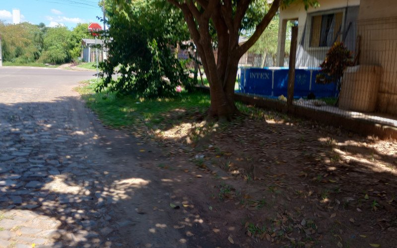 Rua Francisco das Chagas Santos Roxo