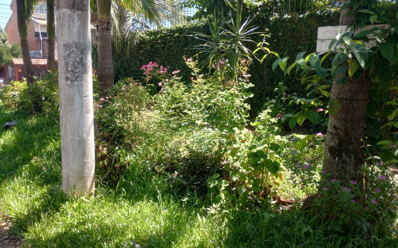 Rua João Carlos Haas Sobrinho
