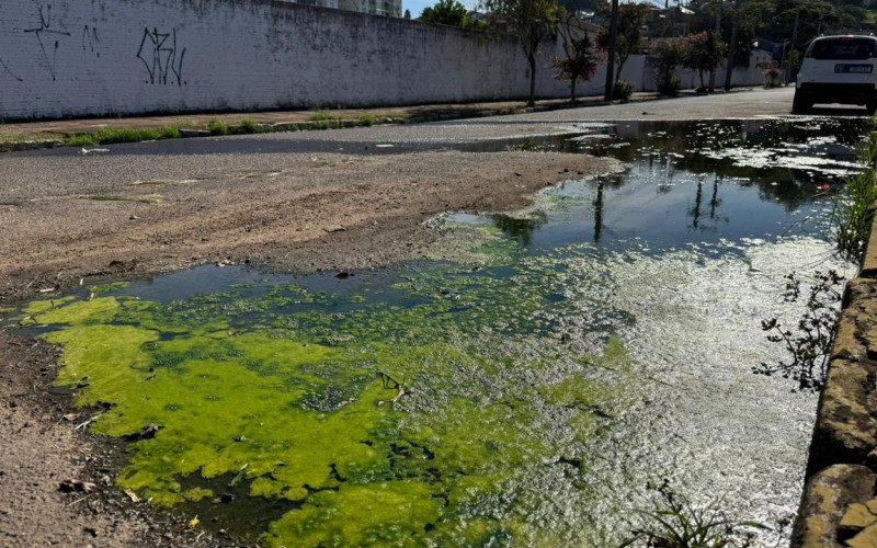 Rua Tupi, no bairro Rio Branco, em frente à Liga Feminina e Hospital Planetário | abc+
