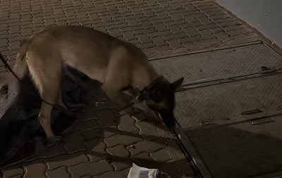 Homem é preso após cão policial encontrar drogas em tubulação na Estação Santo Afonso