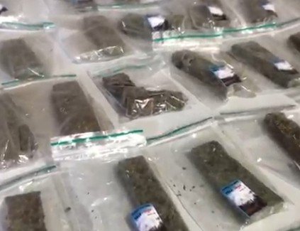 Drogas apreendidas em operação da Polícia Civil em Canela