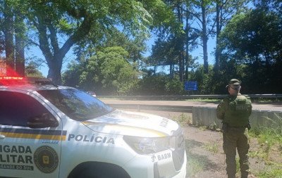 Segundo maior felino do Brasil é visto em rodovia do RS; saiba onde e o que fazer caso encontre animal