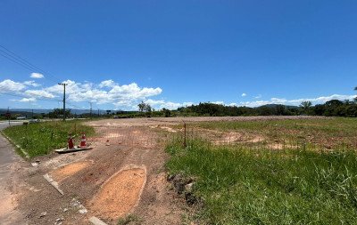 Havan de Taquara já recebe currículos antes mesmo da inauguração; veja como se candidatar a vagas