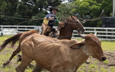 Canela abre a temporada de rodeios no Rio Grande do Sul e vai distribuir mais de R$ 100 mil em prêmios