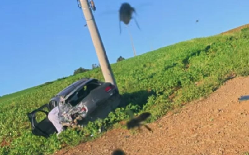 Vídeo mostra carro que teve para-brisa coberto de abelhas e capotou no RS | abc+