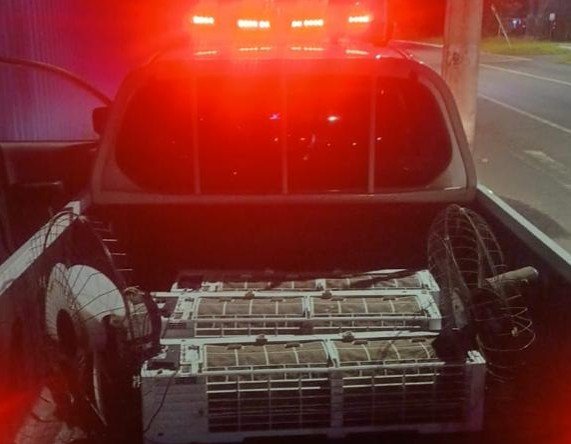 Aparelhos de ar-condicionado e ventiladores estavam em matagal a metros da escola | abc+