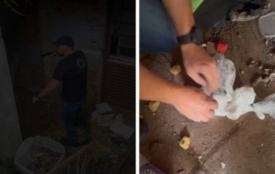 VÍDEO: Casa abandonada era usada como depósito para tele-entrega de drogas no Vale do Sinos