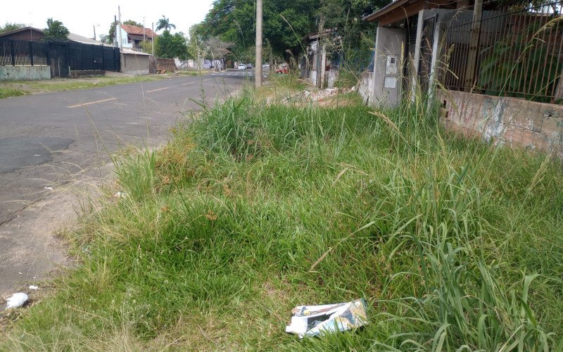 No bairro Rio dos Sinos é comum encontrar os passeios públicos obstruídos por mato, raízes de árvores que levantaram pedras