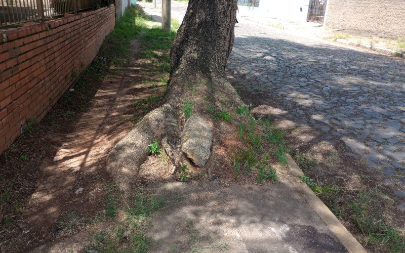 No bairro Rio dos Sinos &eacute; comum encontrar os passeios p&uacute;blicos obstru&iacute;dos por mato, ra&iacute;zes de &aacute;rvores que levantaram pedras