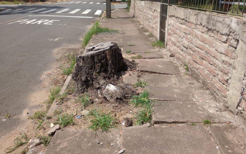 No bairro Rio dos Sinos é comum encontrar os passeios públicos obstruídos por mato, raízes de árvores que levantaram pedras