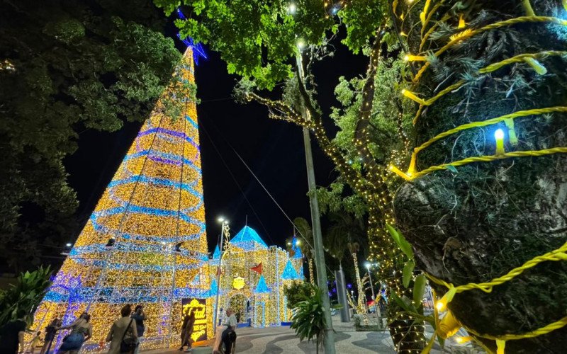 Árvore de Natal de Novo Hamburgo ilumina Praça do Imigrante