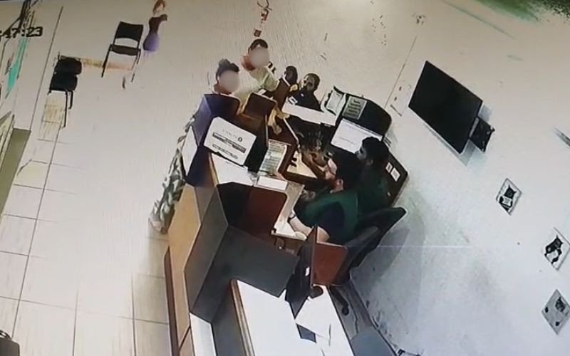 Câmeras flagraram momento em que casal deixou gatos em uma caixa na Secretaria de Bem-Estar Animal de Canoas | abc+