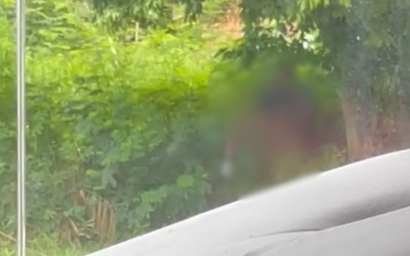 Homem é flagrado em quando se masturba em matagal em Novo Hamburgo | abc+