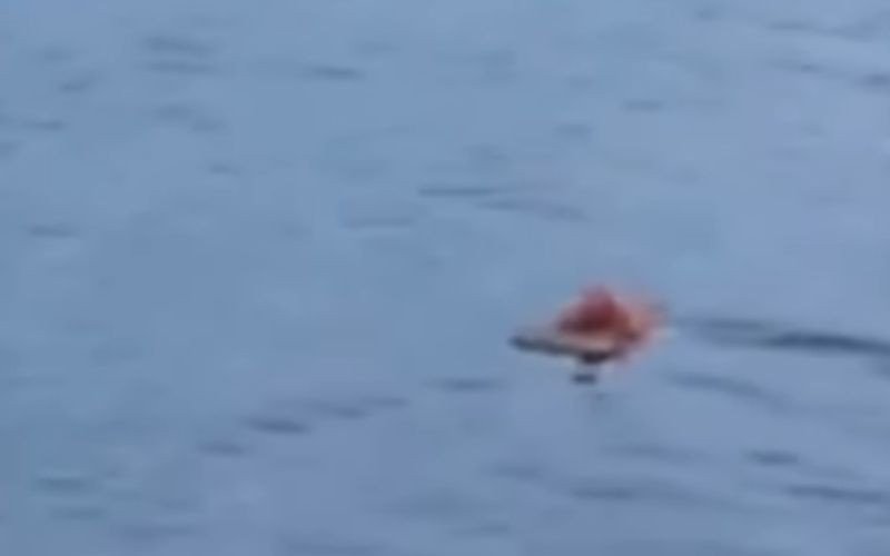 Agarrado a porta de geladeira, pescador passa noite à deriva no mar após naufrágio em SC | abc+