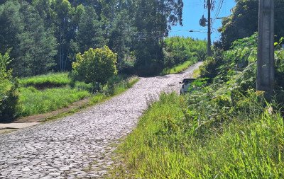 Mato e outros perigos tomam conta de bairro: Moradores relatam sensação de abandono em Estância Velha