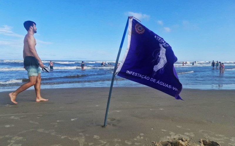Bandeira roxa indica a infestação de águas-vivas em Tramandaí | abc+