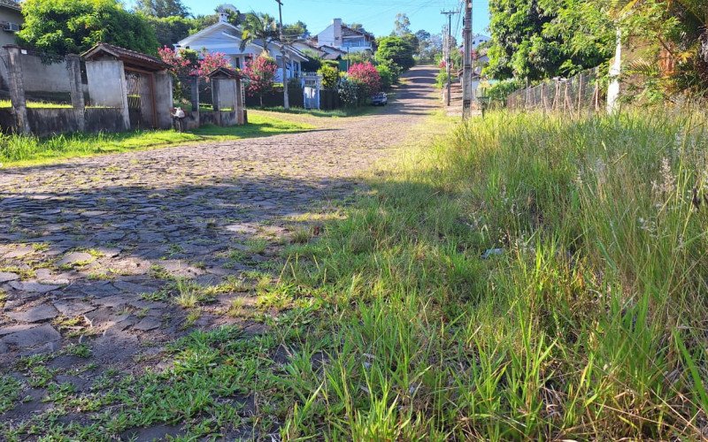 Moradores relatam inúmeros problemas em ruas do loteamento das Acácias no bairro Bela Vista