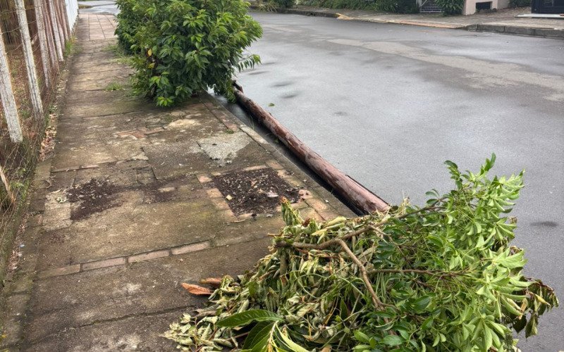 Poste caiu durante chuva Rua Canela, em Nova Petrópolis