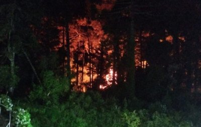 Incêndio próximo ao hospital de Gramado mobiliza uso de retroescavadeira e chamas atingem mais de 15 metros de altura