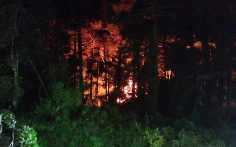Incêndio próximo ao hospital de Gramado mobiliza uso de retroescavadeira e chamas atingem mais de 15 metros de altura