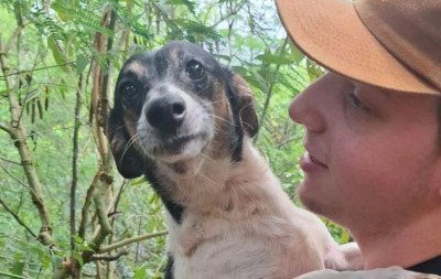 "Emocionante demais": Cão desaparecido há dois meses reencontra família em Novo Hamburgo
