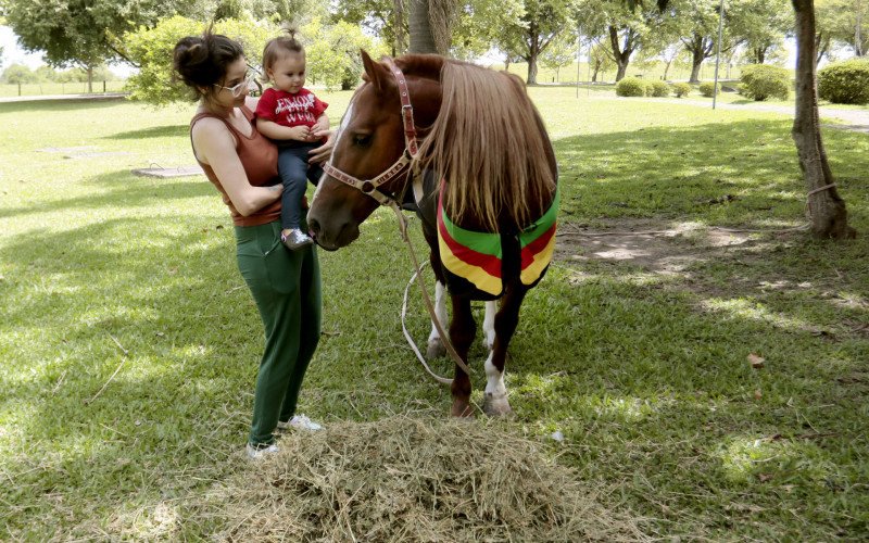 Cavalo Caramelo recebeu visitas nesta terça-feira (20) em Canoas | abc+