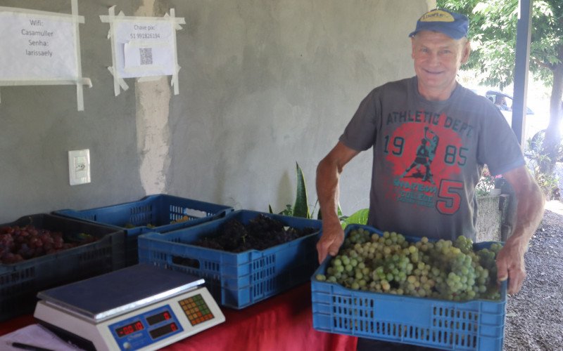 José Ricardo comenta sobre seu trabalho com o cultivo de uvas em Igrejinha