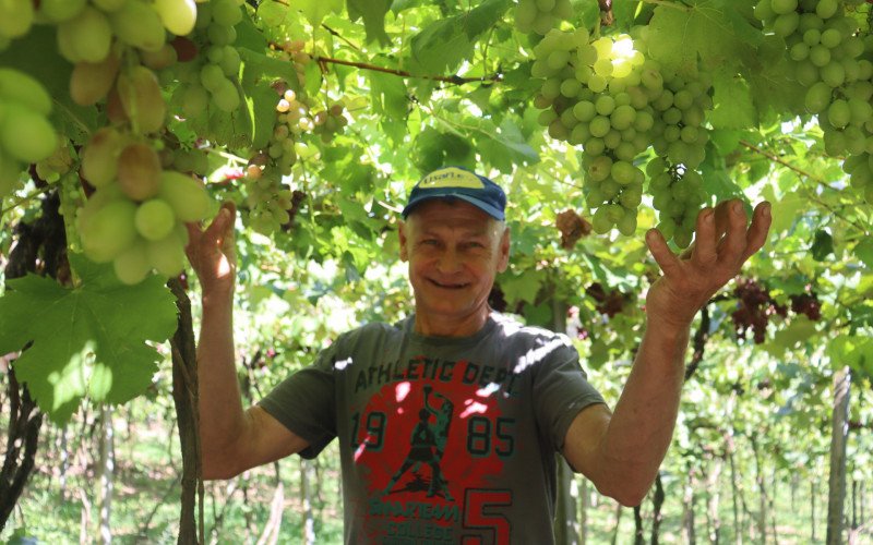 José Ricardo comenta sobre seu trabalho com o cultivo de uvas em Igrejinha