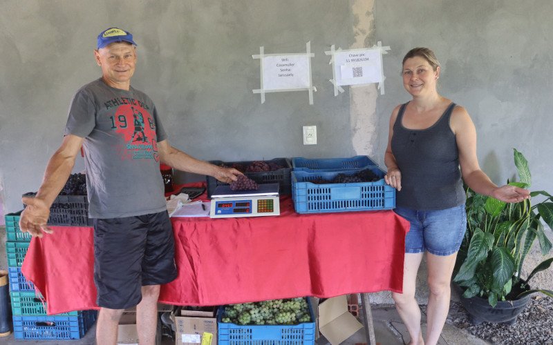 Müller e a irmã Carina atuam juntos com cultivo de uvas