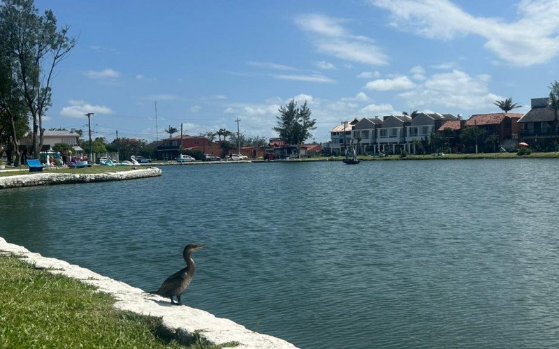 Enquanto o agito marca a beira-mar, a apenas cinco quadras dali, na Avenida Santa Rosa, o cenário se transforma