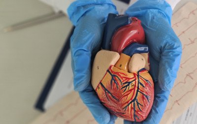 Aneurisma da aorta: entenda o que é a doença silenciosa que pode ser fatal