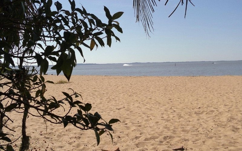 Praia do Pinvest, em Tapes, também está imprópria para banho no RS | abc+