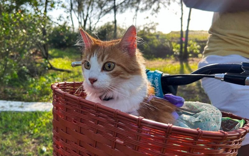 Além de praieira, Prince também ama passeios de bicicleta