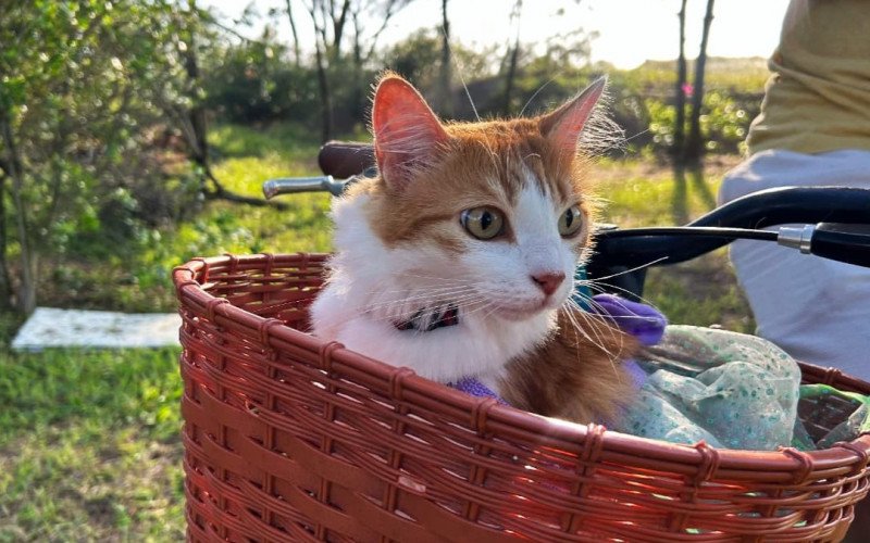 Além de praieira, Prince também ama passeios de bicicleta