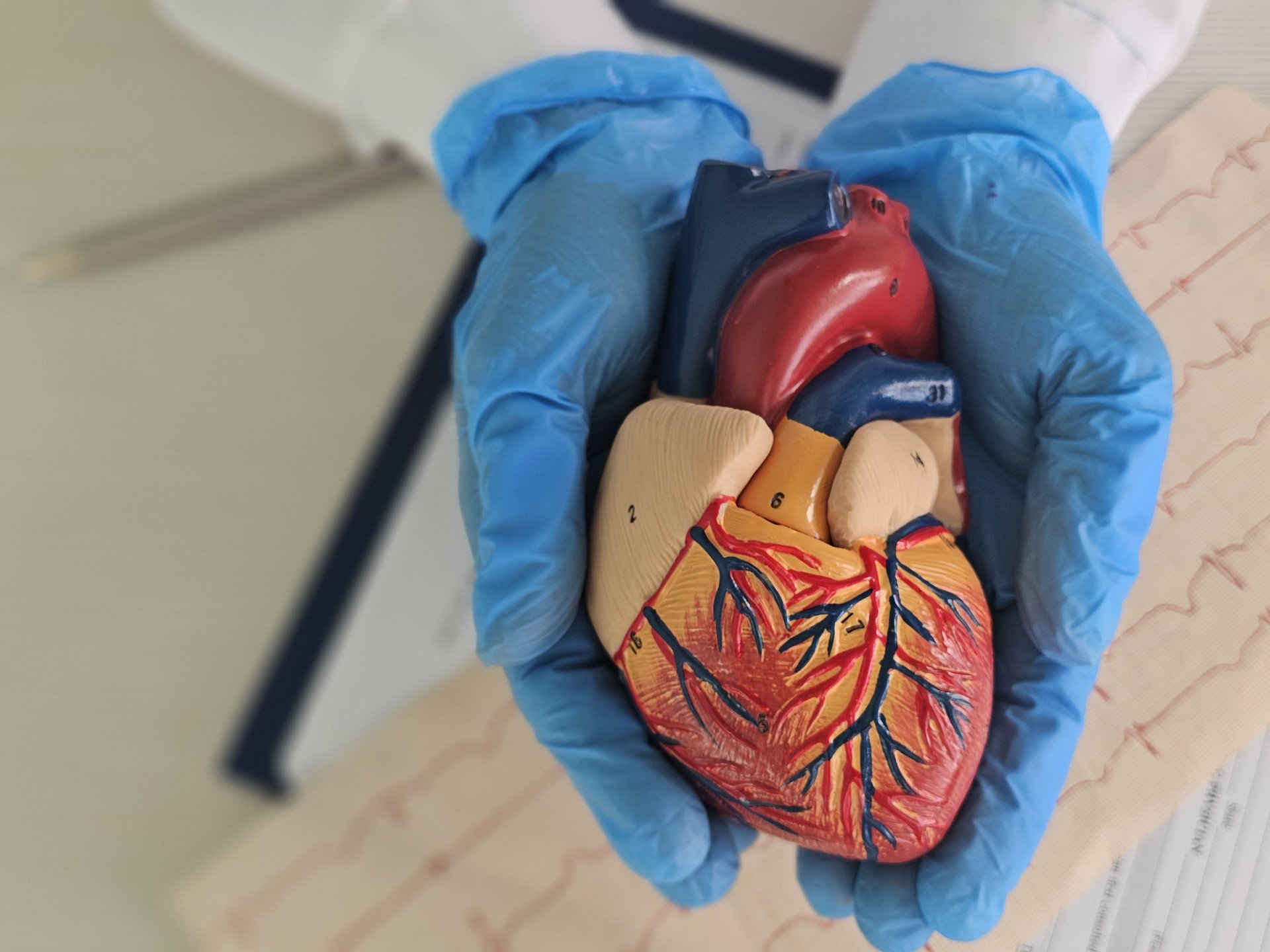 Aneurisma da aorta: entenda o que é a doença silenciosa que pode ser fatal