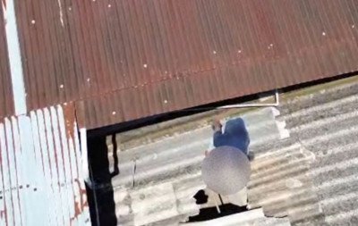 VÍDEO: Criminoso caminha por telhados e invade depósito de peças automotivas em Novo Hamburgo