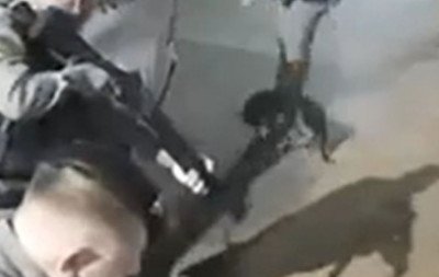 VÍDEO: Cachorro é baleado por policial militar em Campo Bom