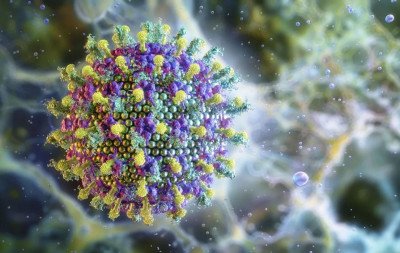 NIPAH: Saiba mais sobre origem, transmissão, sintomas e tratamento do vírus que preocupa a Ásia