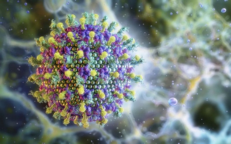 Nipah: saiba mais sobre o vírus que preocupa a Ásia | abc+