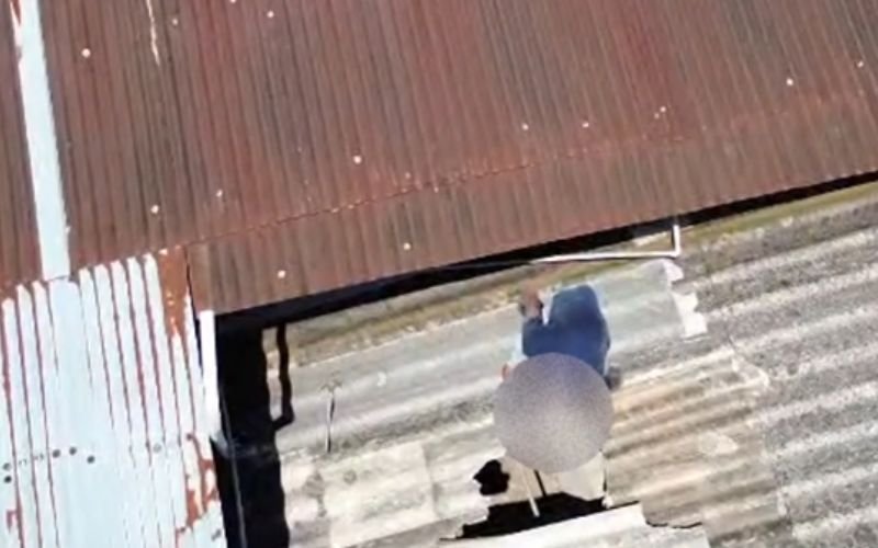 VÍDEO: Criminoso caminha por telhados e invade depósito de peças automotivas em Novo Hamburgo